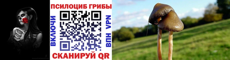 Псилоцибиновые грибы мухоморы это какой сайт Калачинск